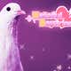 Image for Creator Of Hit Pigeon-Dating Sim Says Epic Never Paid Her Royalties