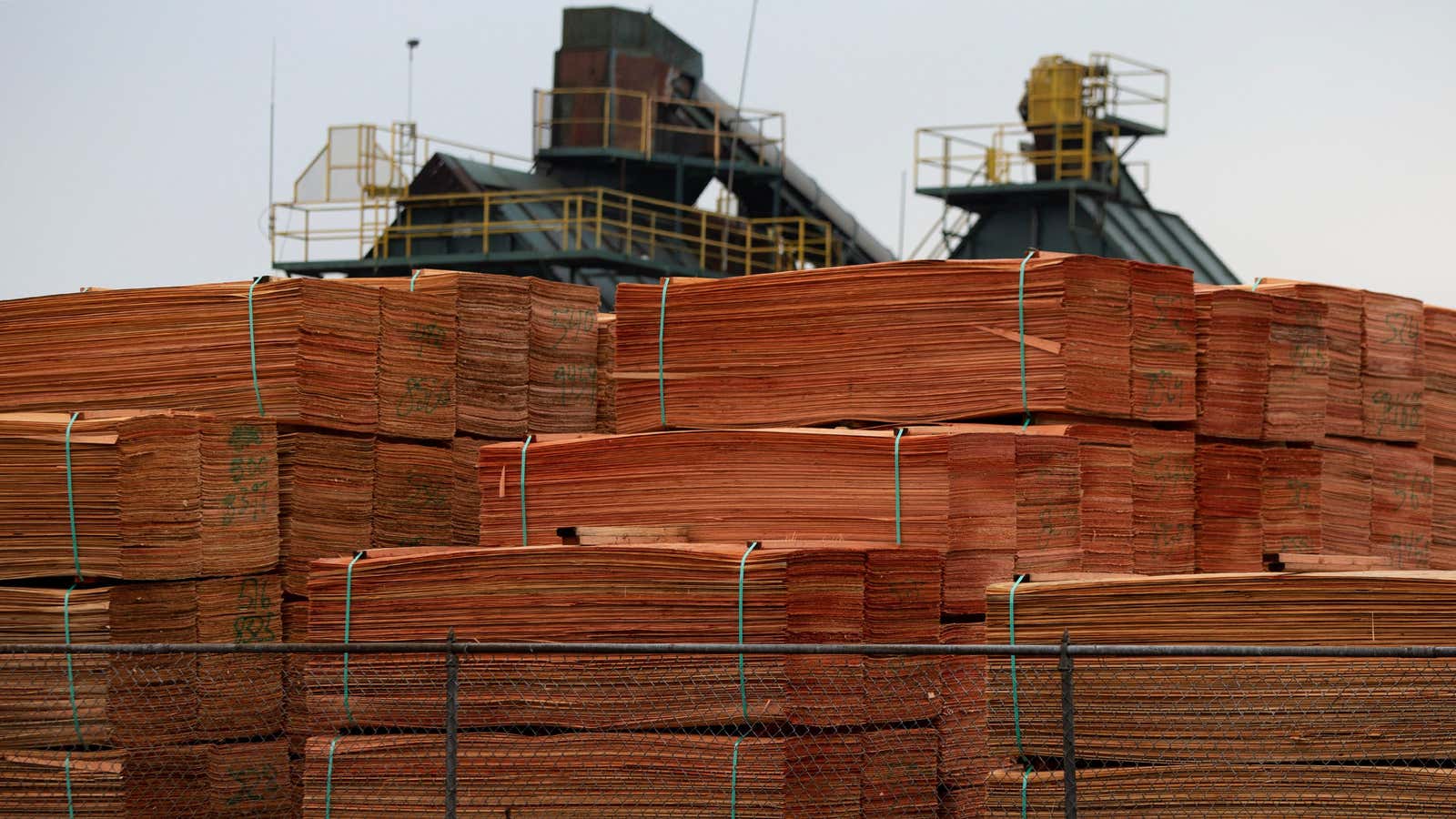 Lumber became a hot commodity in 2021.