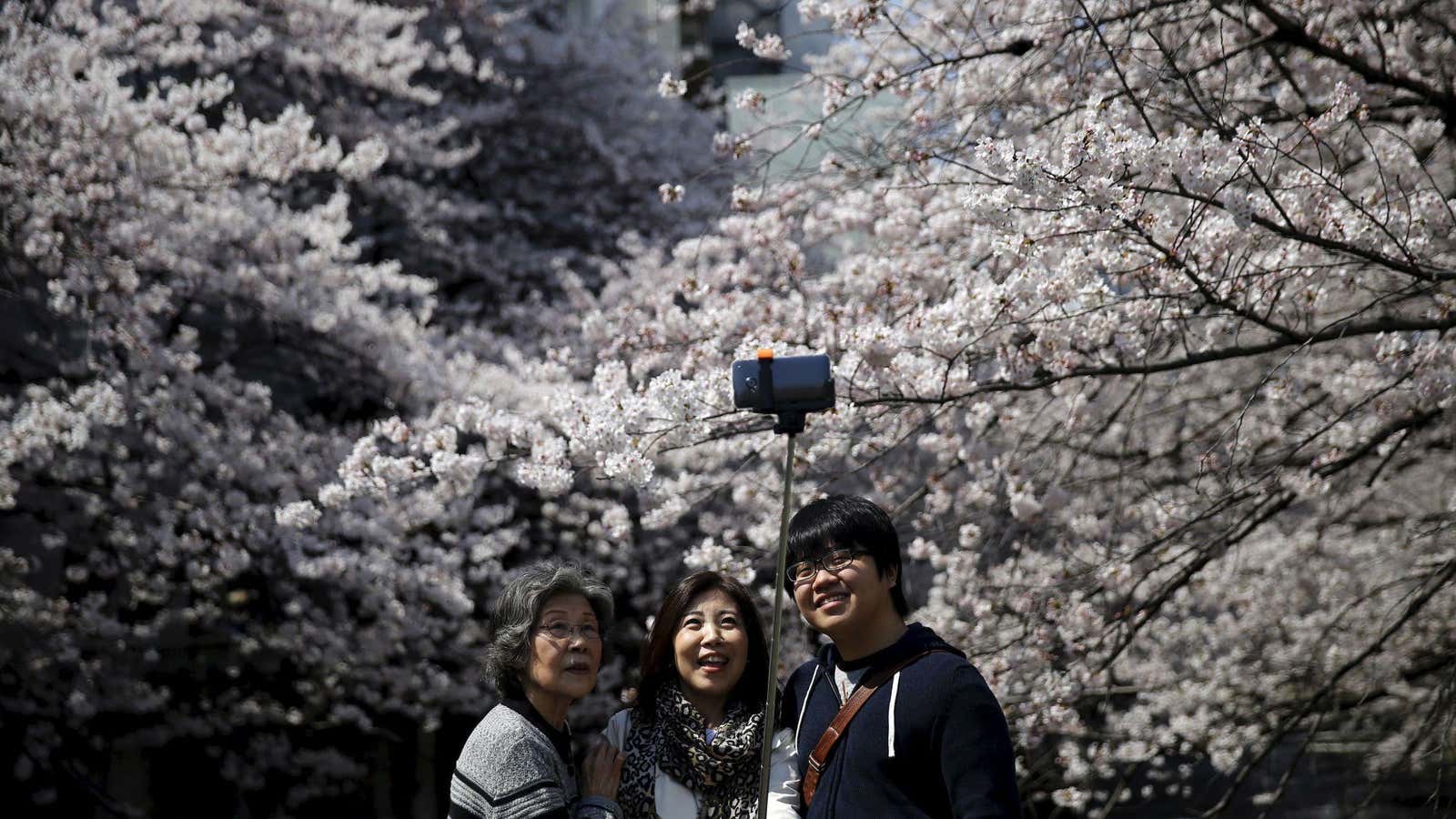 Sakura selfie.