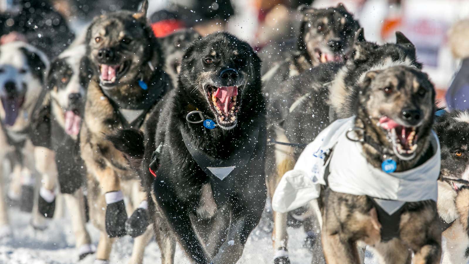 (Reuters/Nathaniel Wilder)
