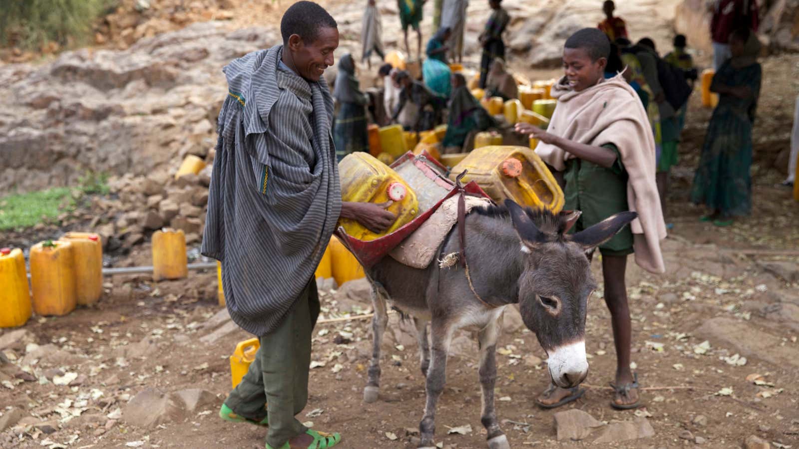 A man and a boy load a donkey with jerrycans of water collected from a stream outside the village of Tsemera in Ethiopia’s northern Amhara region,