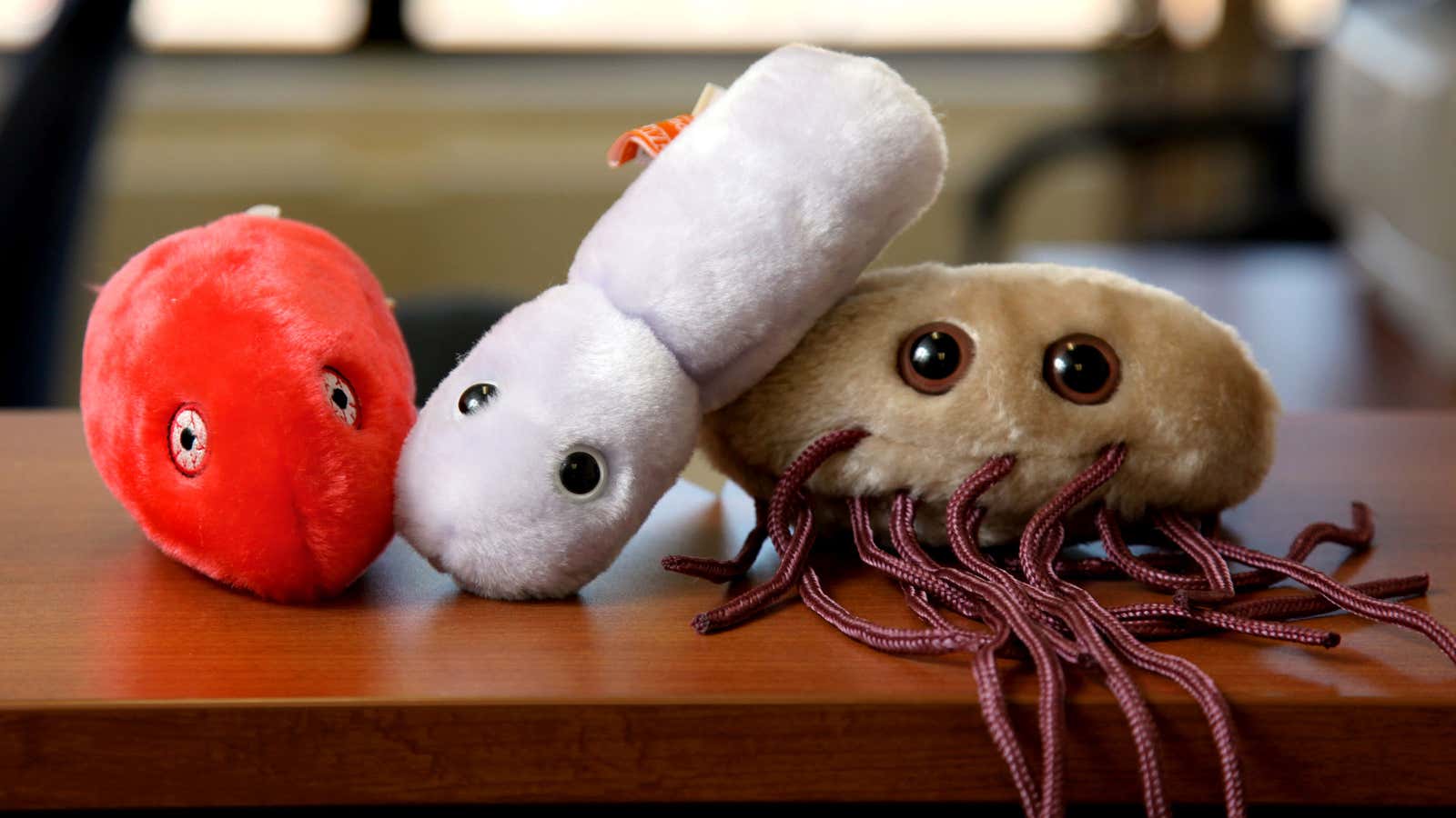 Microbes like buddies too.