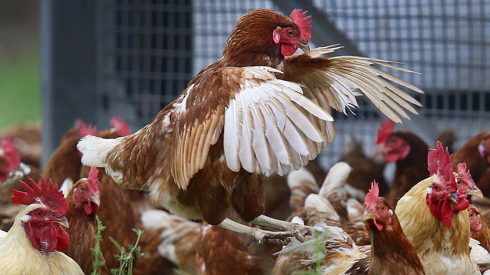 The World Health Organization steps up on antibiotic resistance.