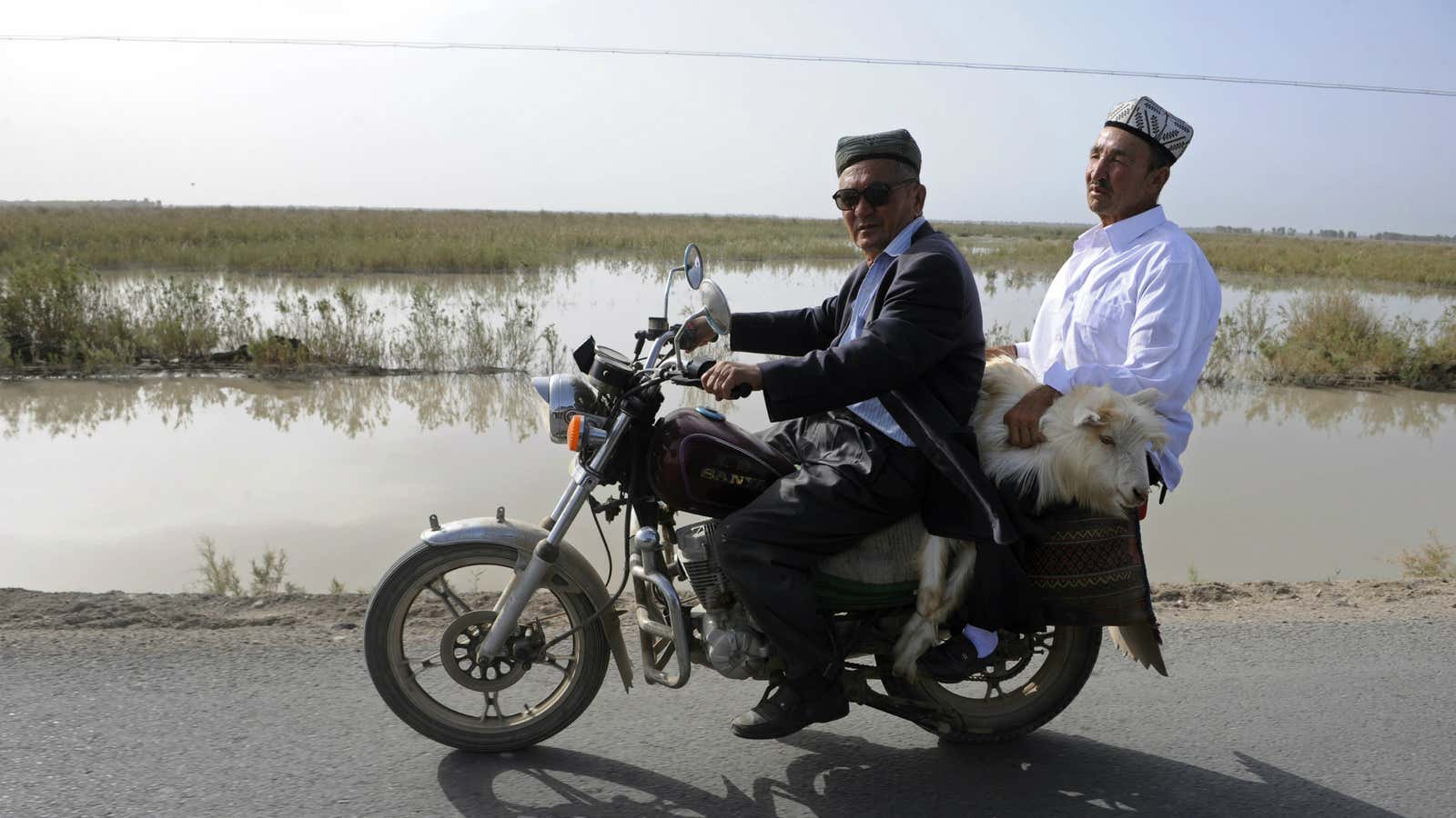 Men transport a goat during Ramadan in Xinjing.