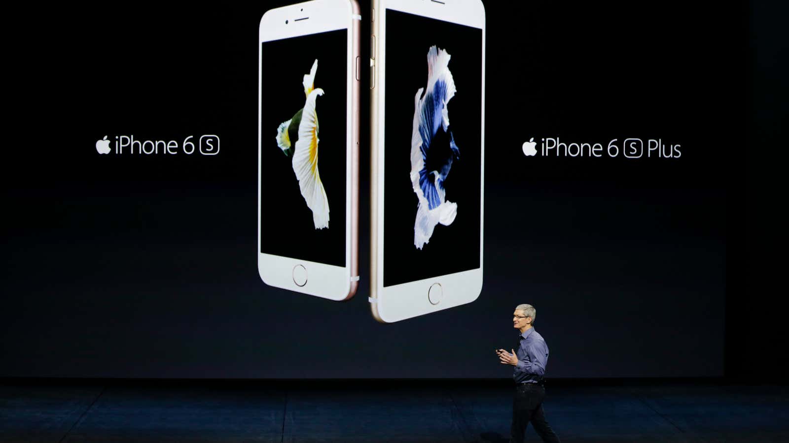 Apple CEO Tim Cook unveils the new iPhones.