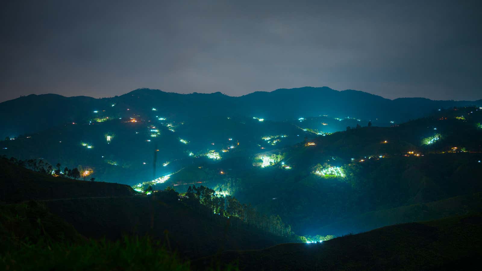 Marijuana farmers have hooked up their illegal plantations to the grid to provide the constant light they need to grow.