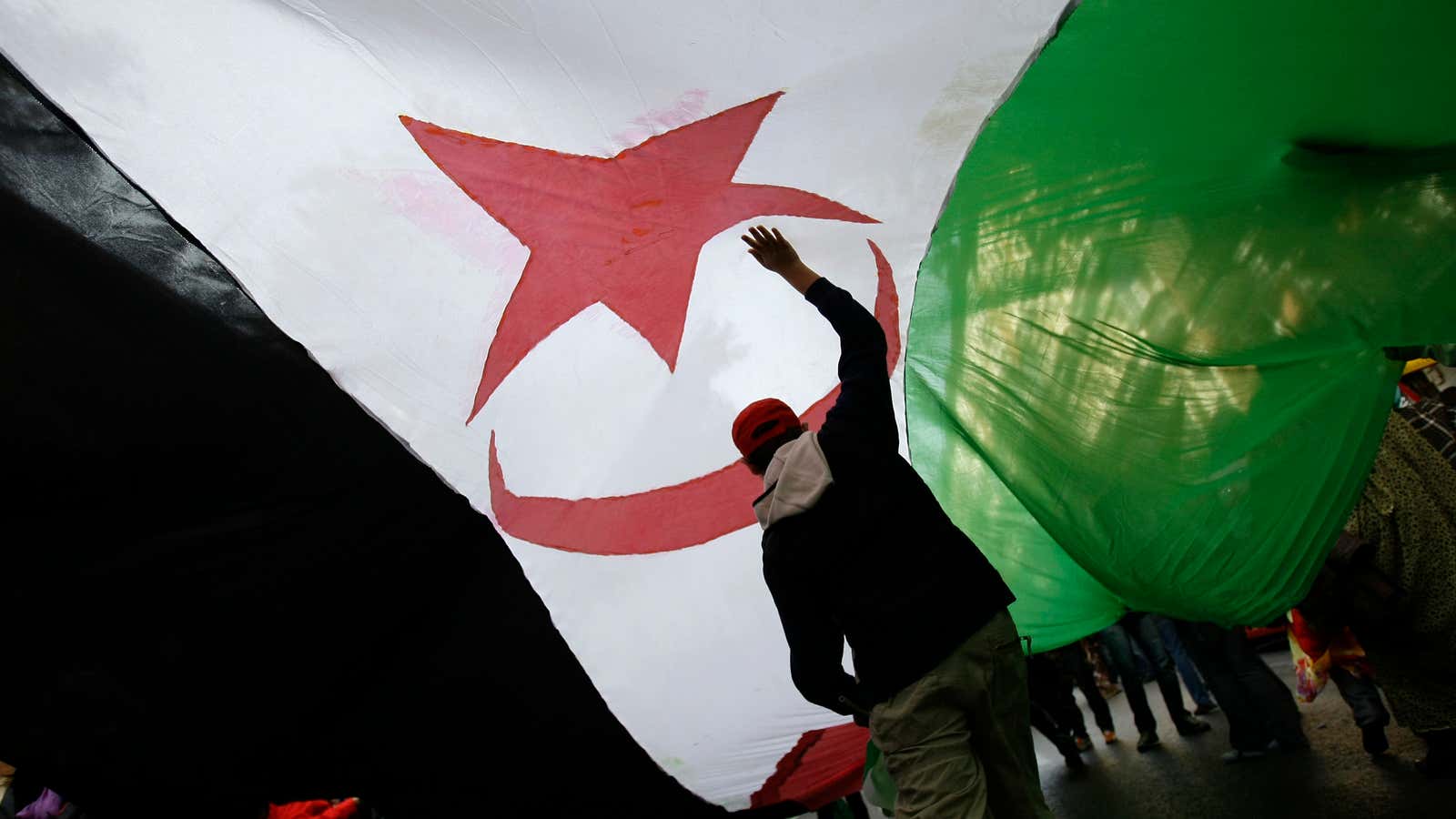 Protesters carry a Western Sahara flag in Madrid.