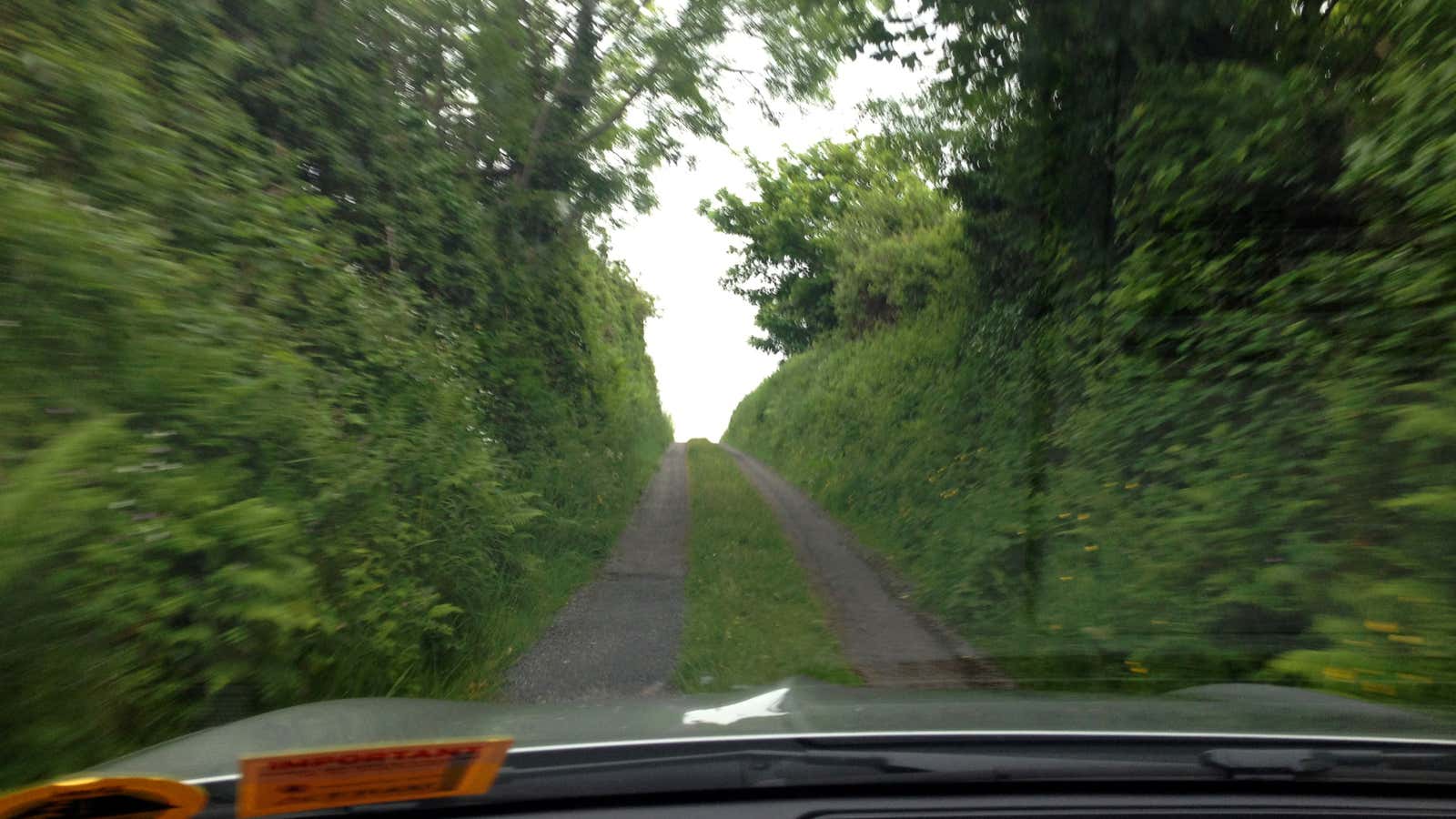 The road ahead isn’t as bumpy as it looks.