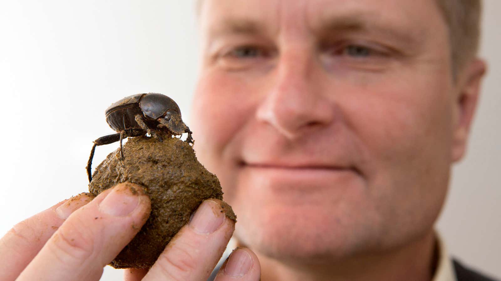 Who knew?! Dung beetles use the Milky Way to better orient themselves.