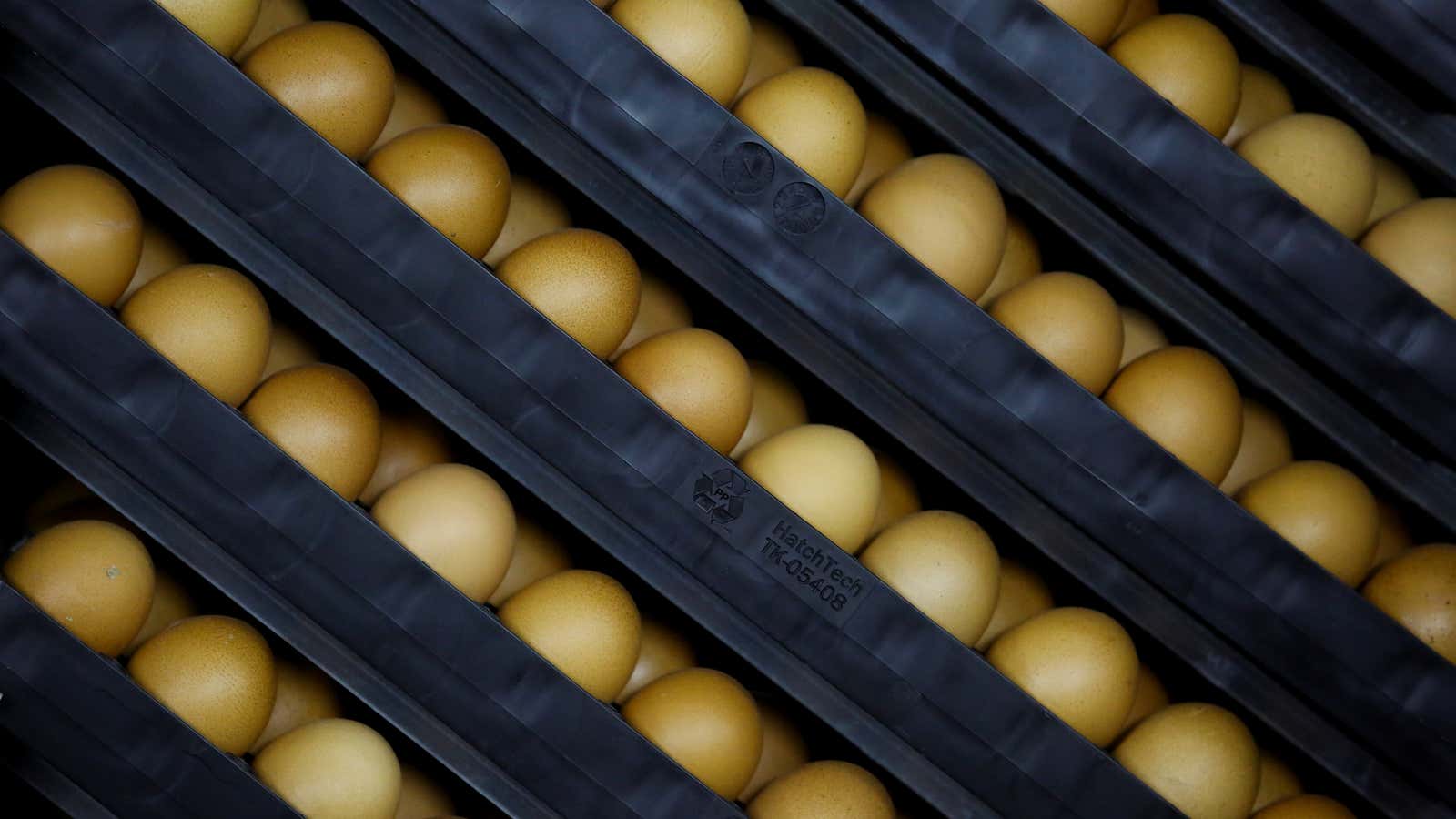 More egg-related drama for Goop.