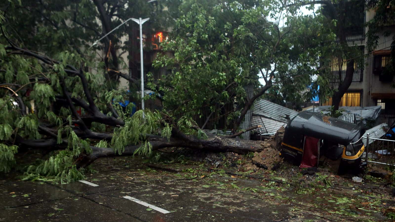 An uprooted tree is seen on a road after strong winds caused by Cyclone Tauktae in Mumbai, India May 17, 2021.