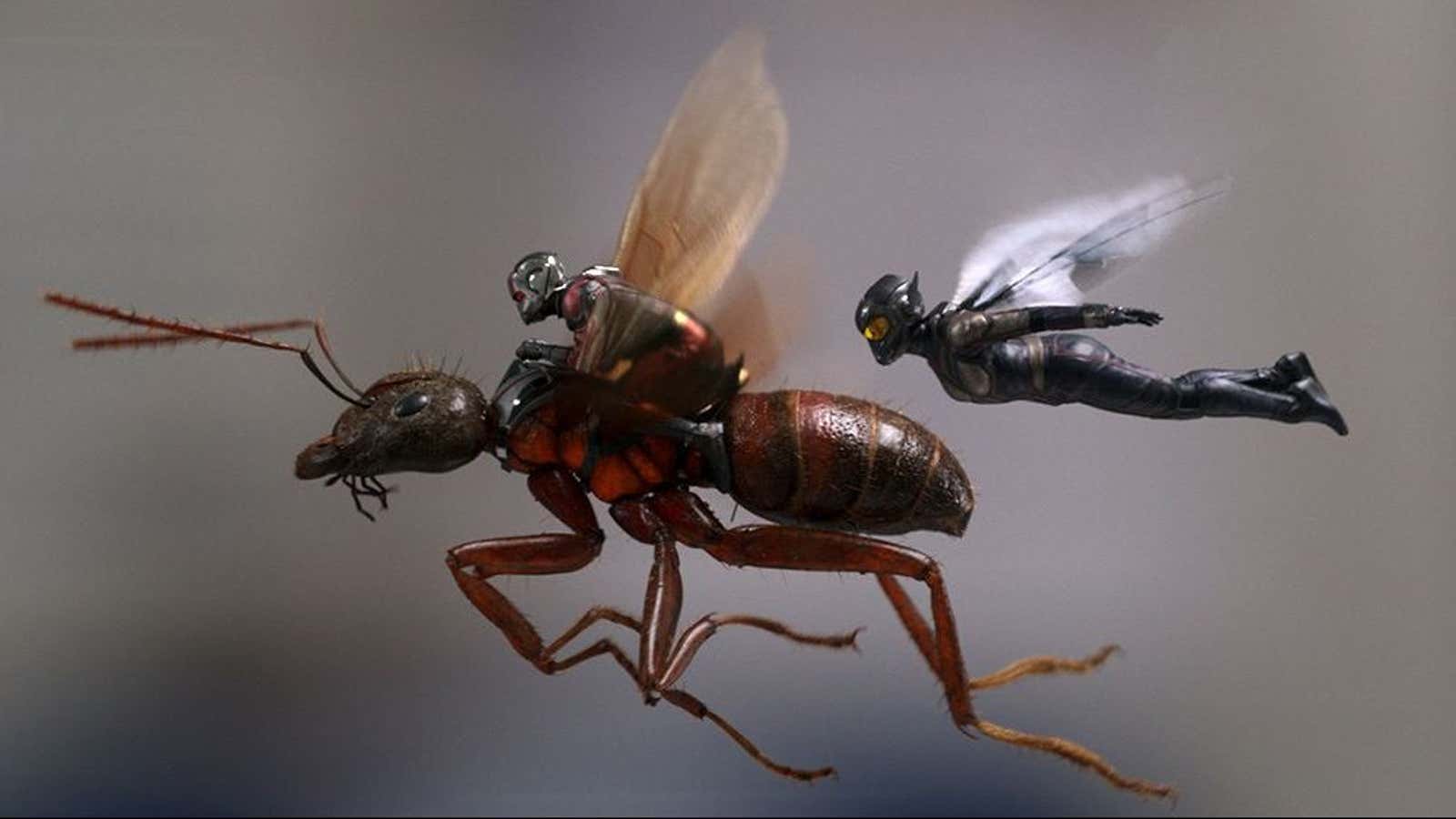 Antman, the Wasp, and an ant.