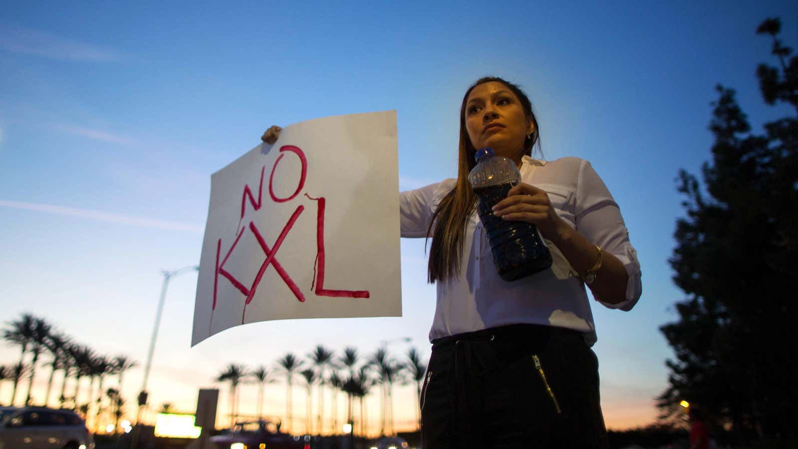 The cancellation of the Keystone XL pipeline was a major victory for activists, but the long game against climate change will require more than campaigns against individual pipelines.