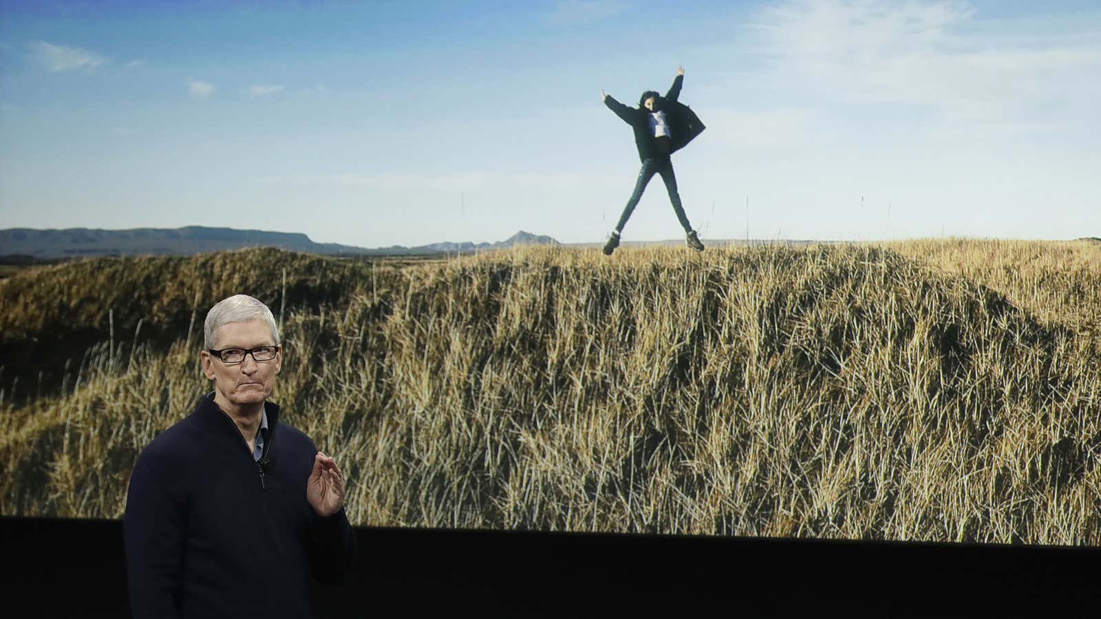 Tim Cook, (probably) inside and out.