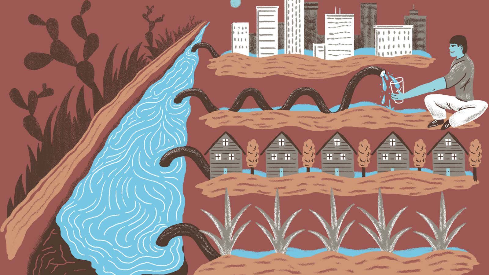 Illustration of how water is used in the Rio Grande Valley of Texas.