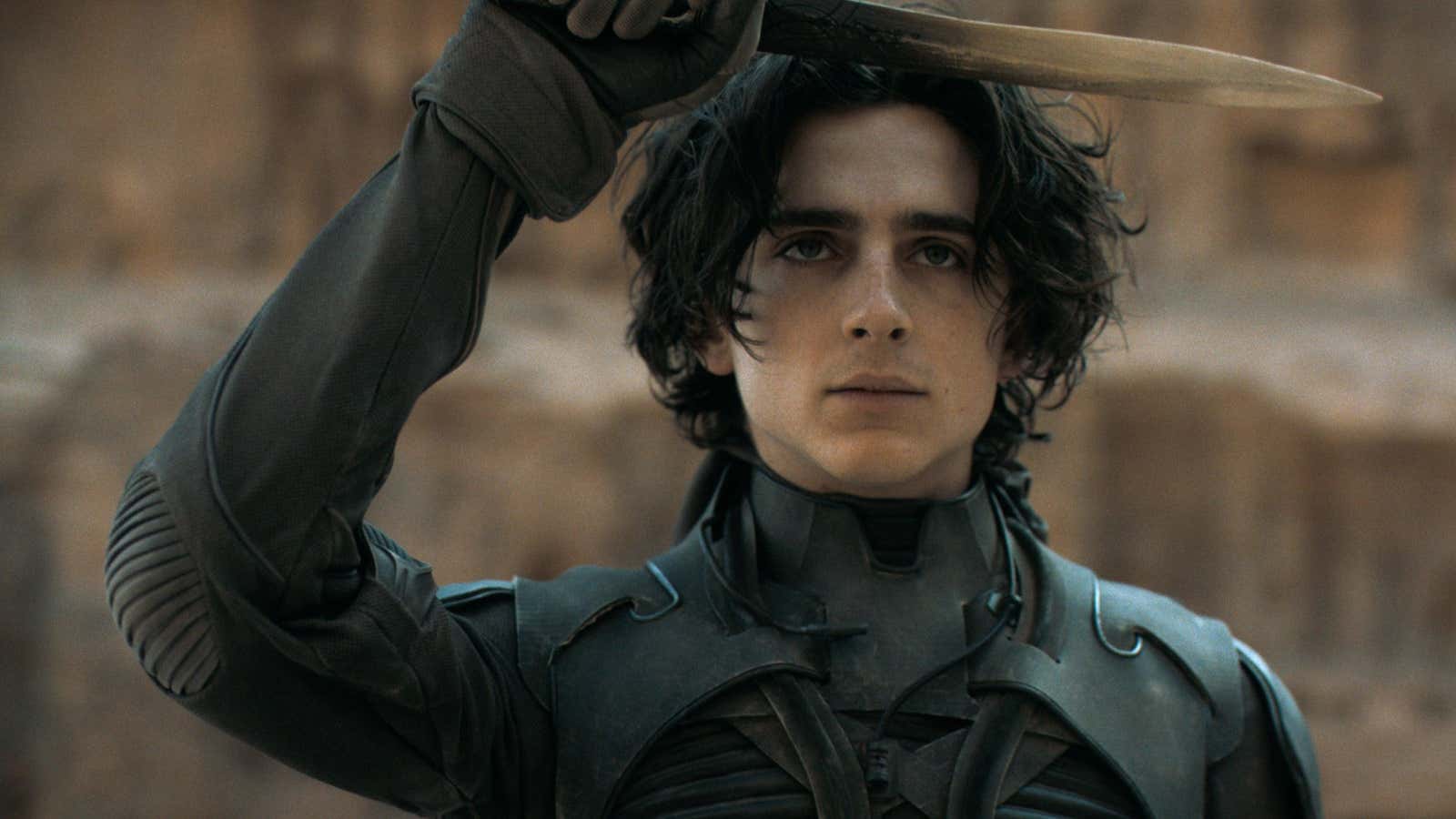 Timothée Chalamet in Dune