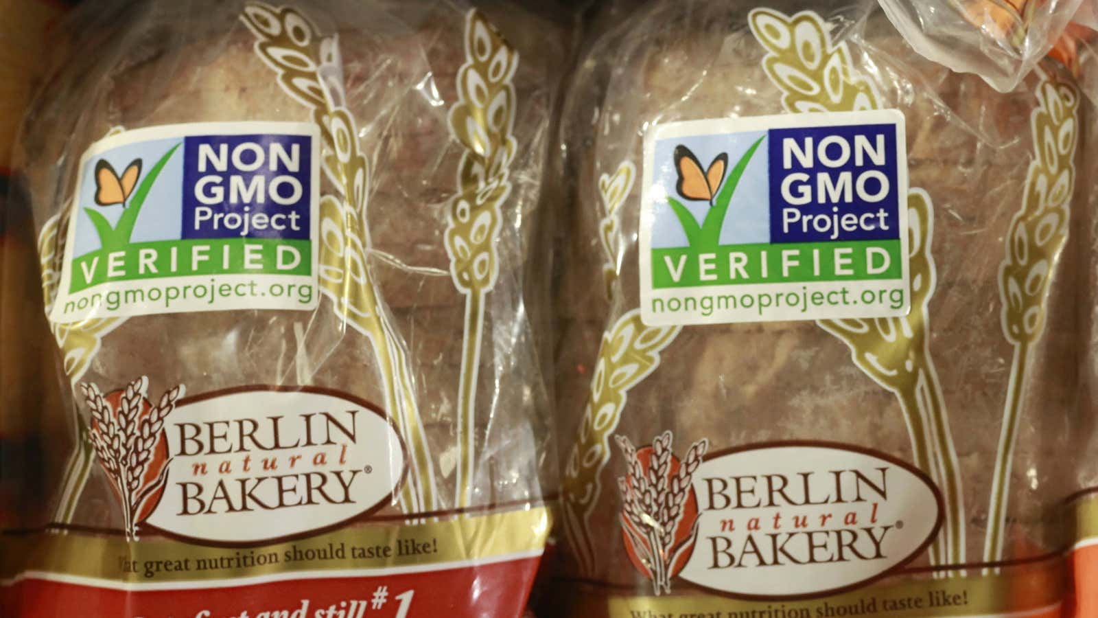 The government is going to take a closer look at GMOs