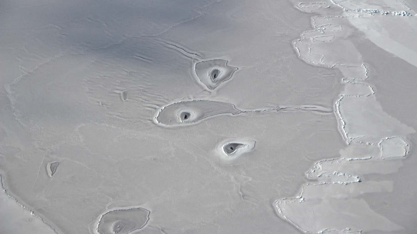 Ice circles in the Arctic are most likely seal breathing holes.