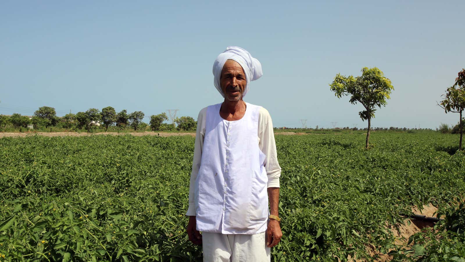 Adel Abdullah&#39;s farm is vulnerable to sea level rise, and because of the high cost of fertilizers and other inputs he hasn&#39;t turned a profit in a decade.