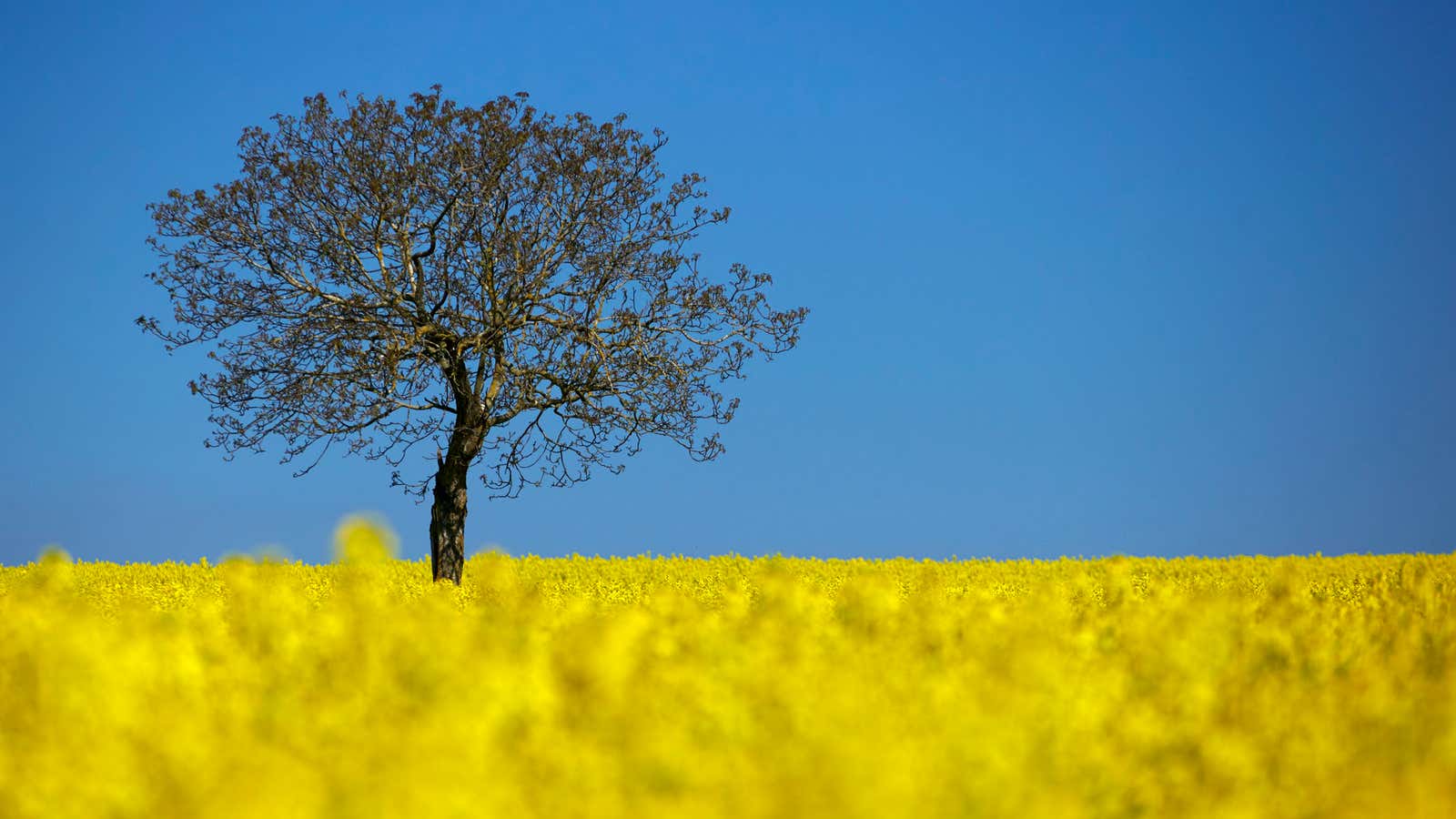One of the most “liked” images on Reuters’ Instagram account. Notice the rule of thirds here?