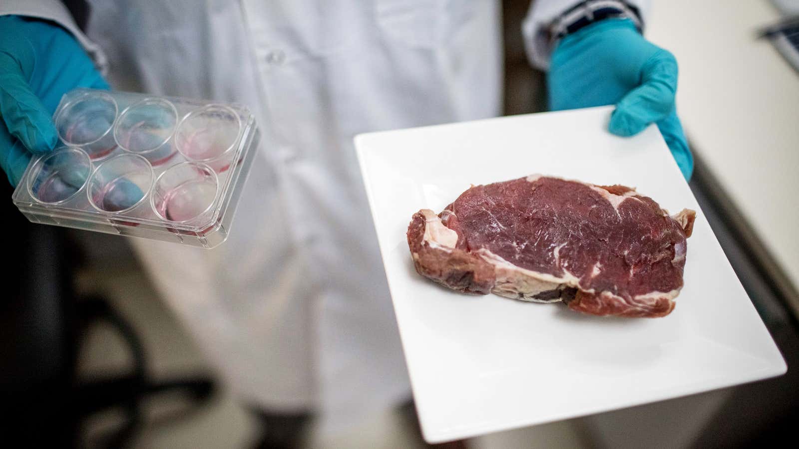 Aleph Farms wants to grow you a steak