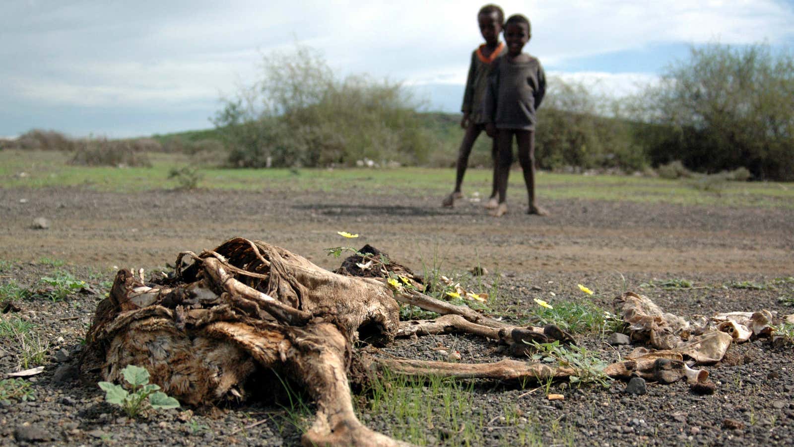 Another drought crisis has hit Ethiopia.