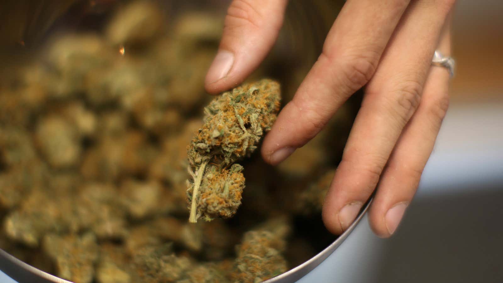 Medical marijuana in Washington and Colorado have already pushed out Mexican cartel weed.