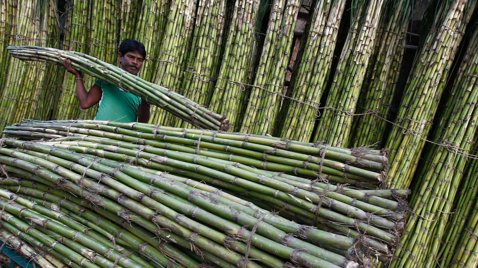 India's sugarcane-based ethanol plan has a big problem: water
