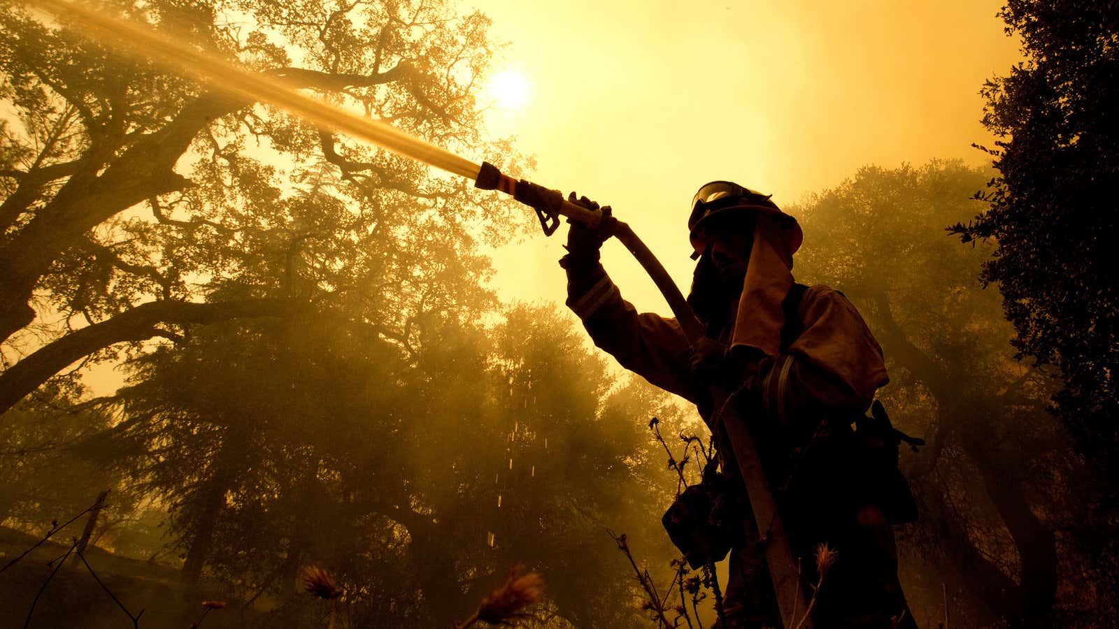 More than 14 fires ravaged eight counties throughout Northern California on Monday.