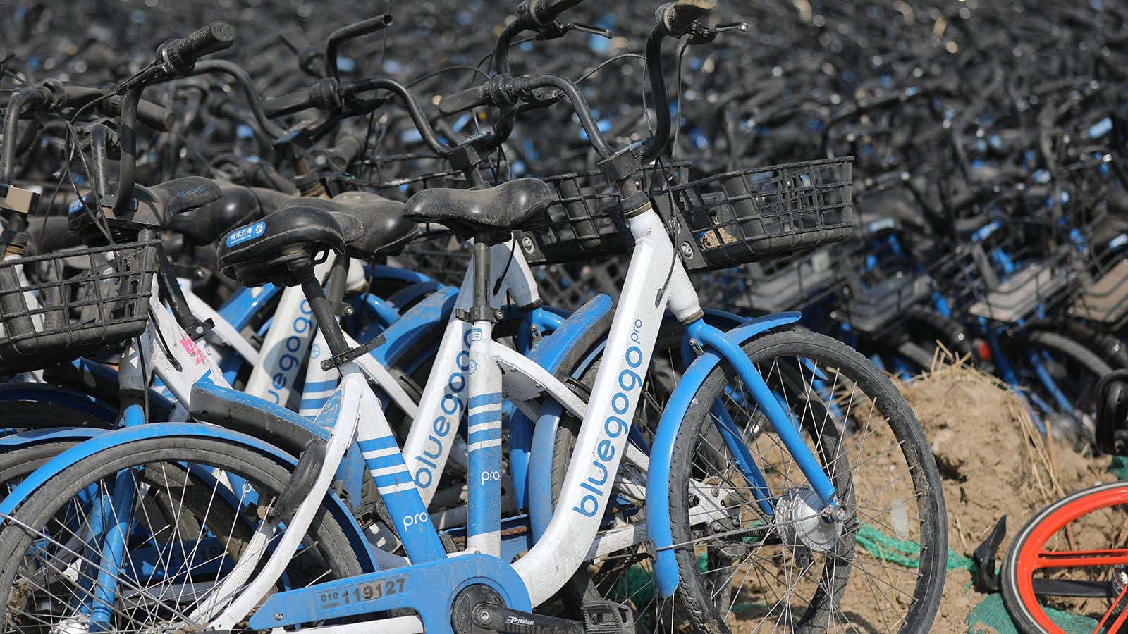Transportation is the fastest-growing source of emissions, and a green transportation startups like bike sharing operations are attracting investment to match.