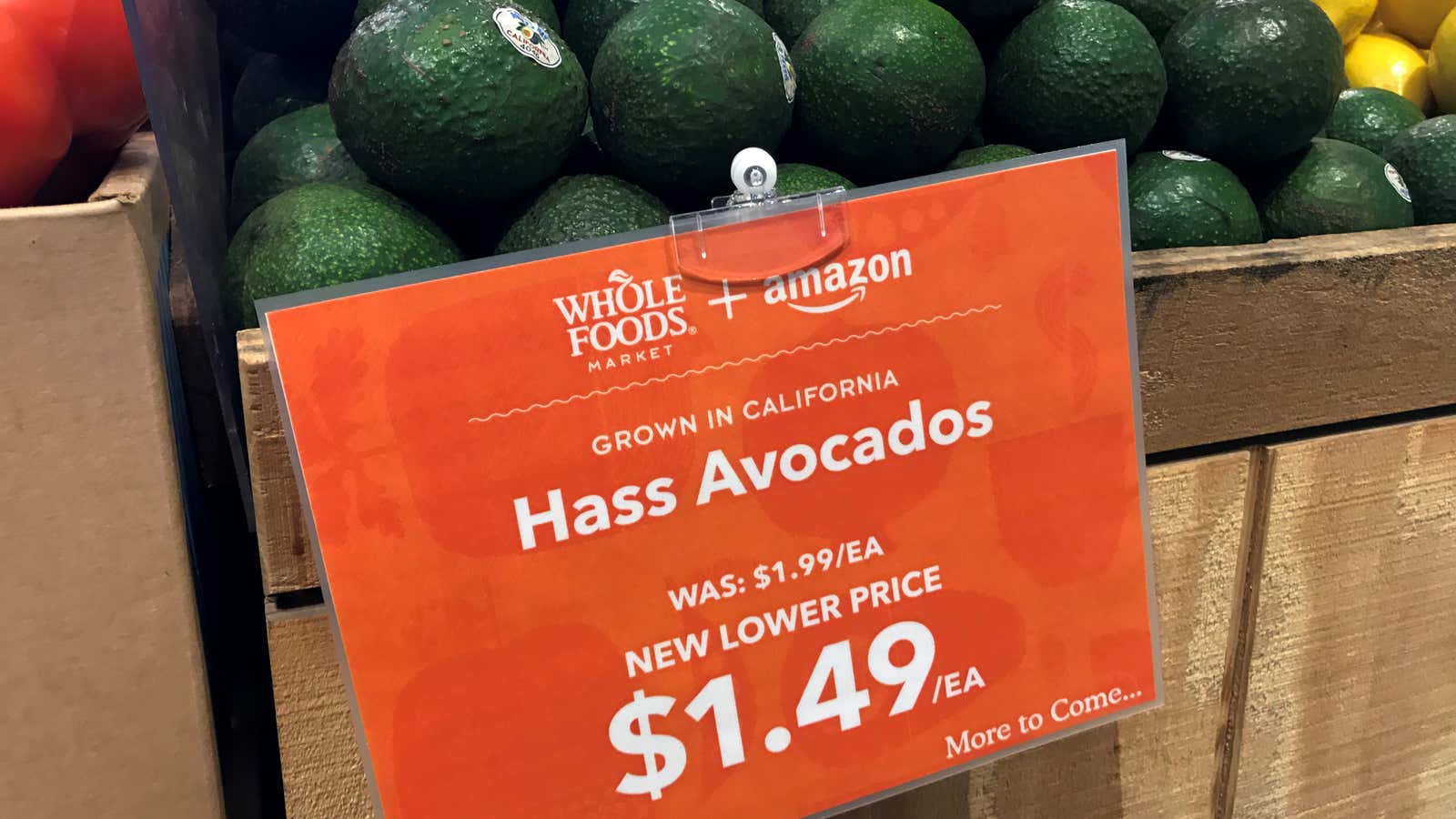 No avocados were harmed, thankfully.