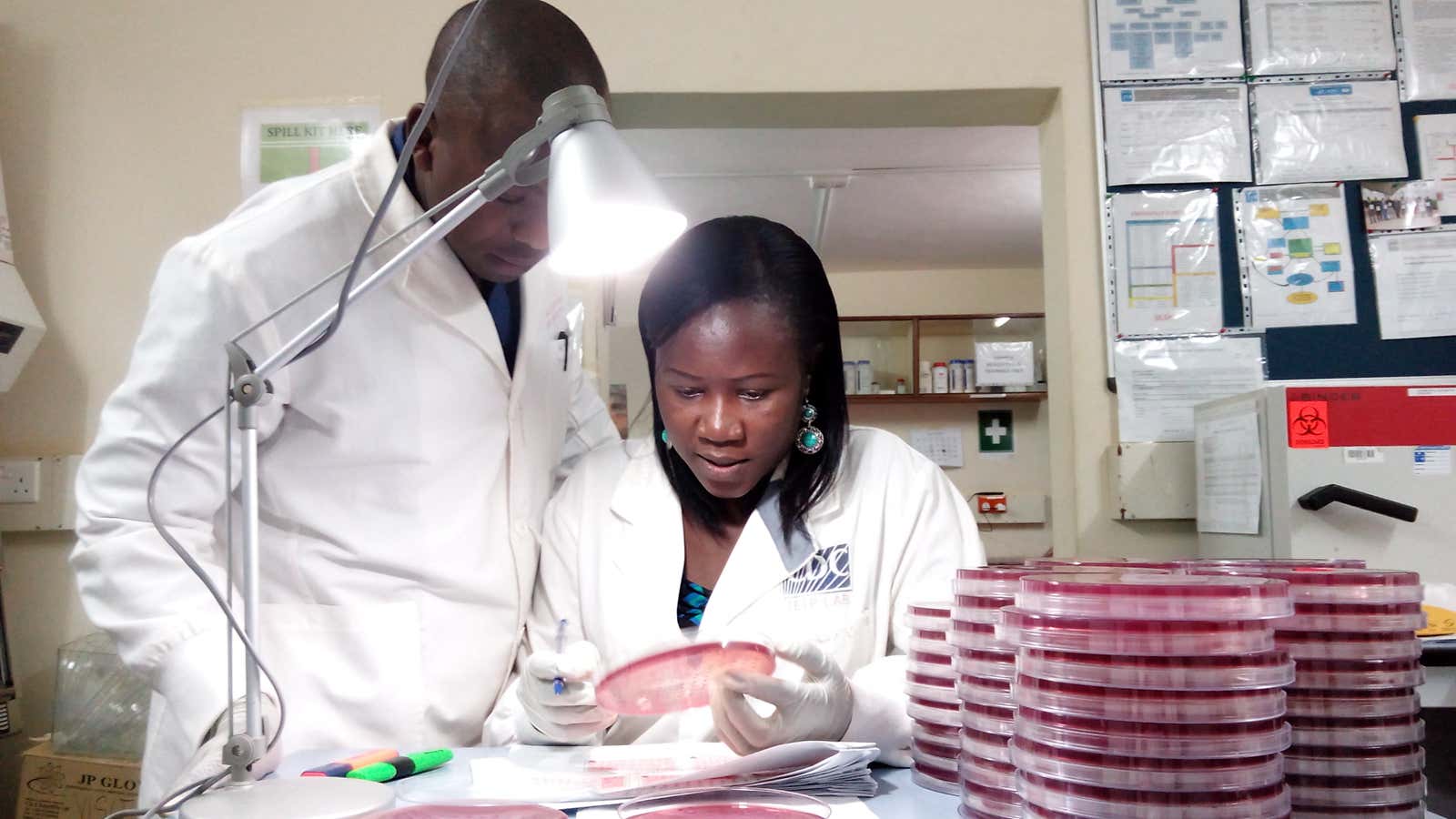 Dr. Sylvia Omulo  and a colleague analyzing samples in the lab