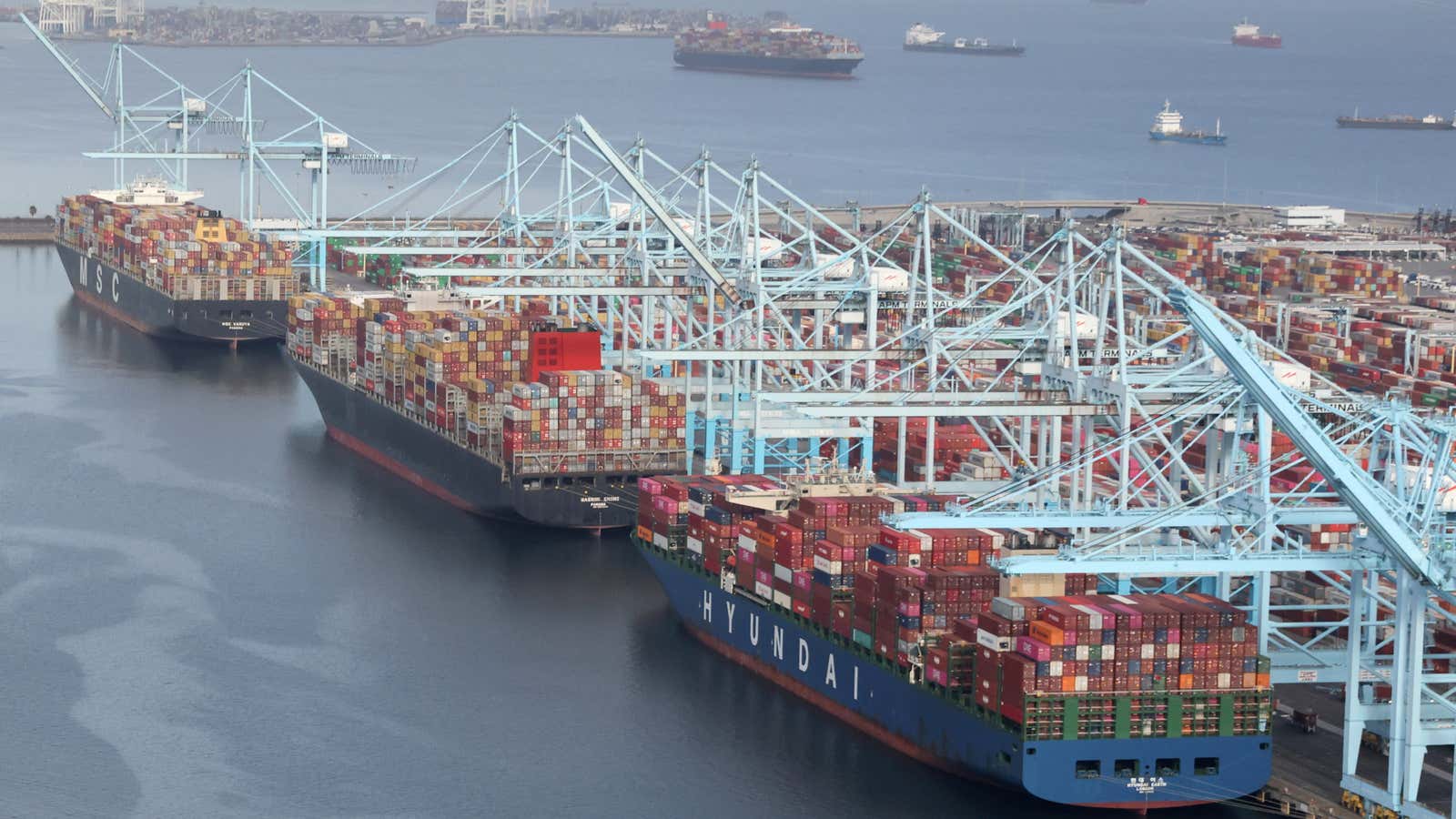 Packed ports mean record profits for shipping lines.