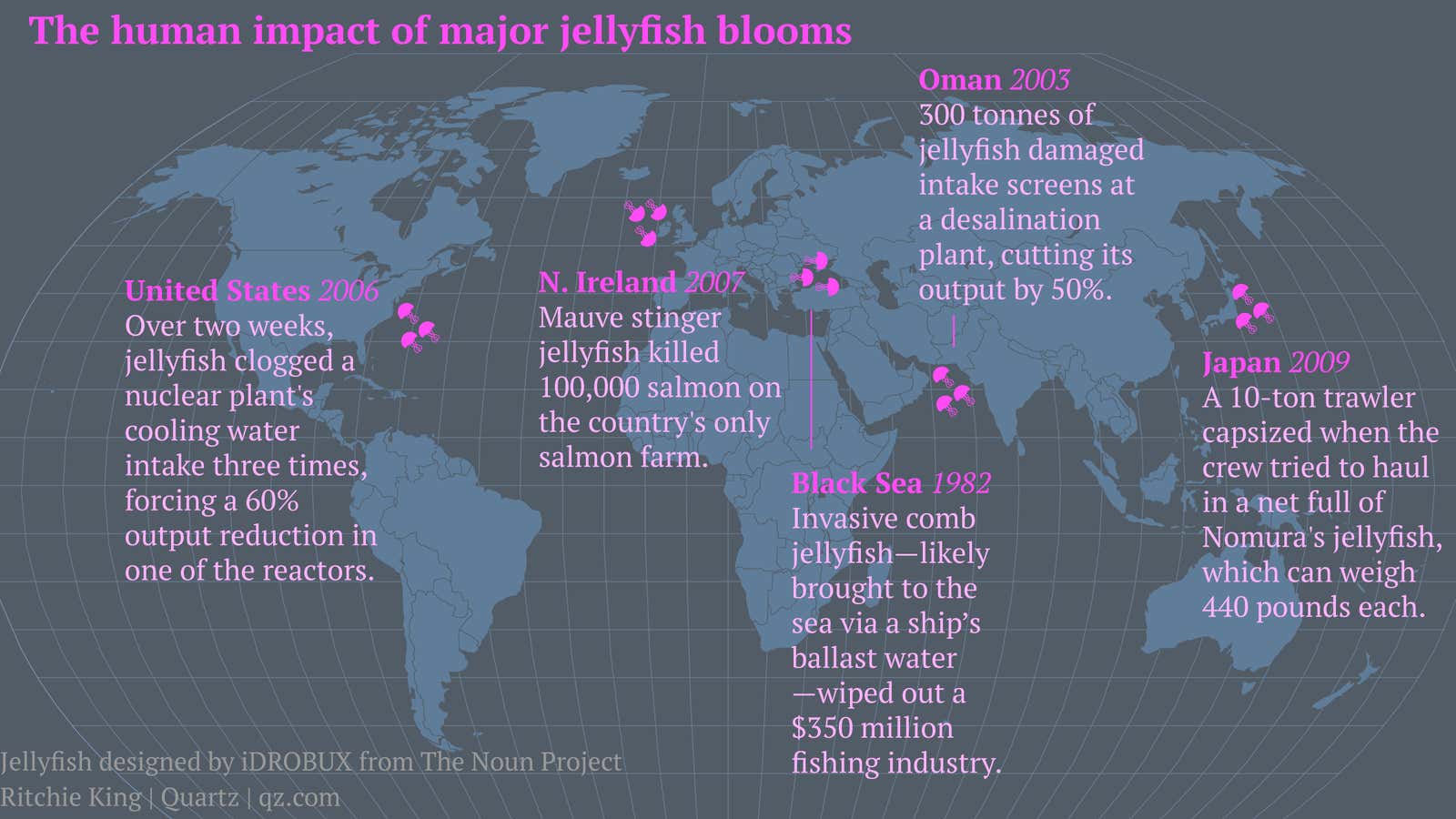 Jellyfish are taking over the seas, and it might be too late to stop them