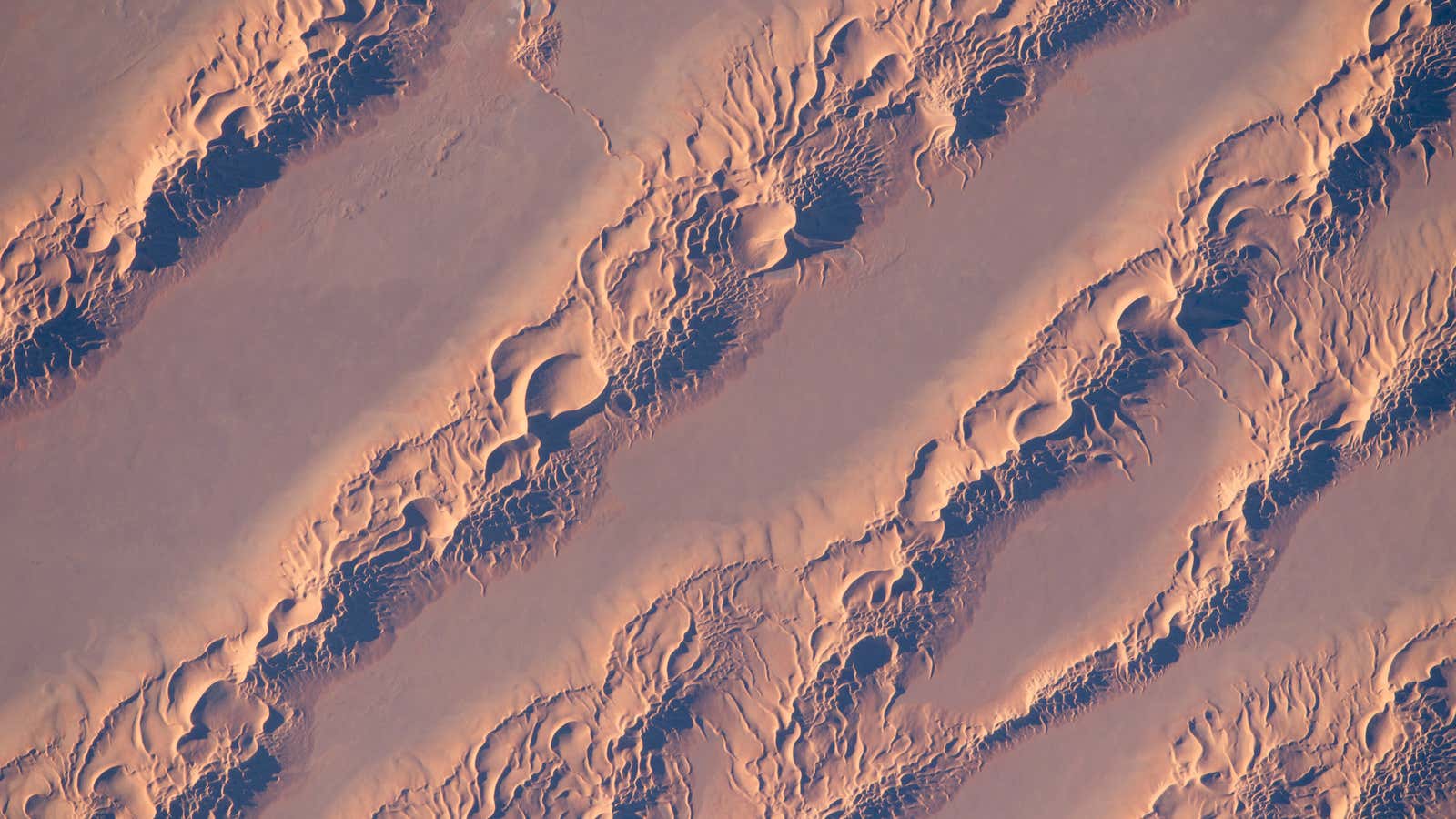 The Grand Erg Oriental dune field in the Sahara Desert seen from the International Space Station
