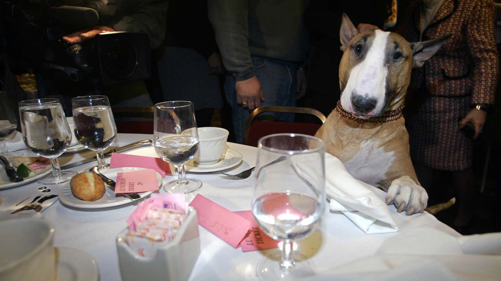 Don’t be a dog. Show up when you book a table.