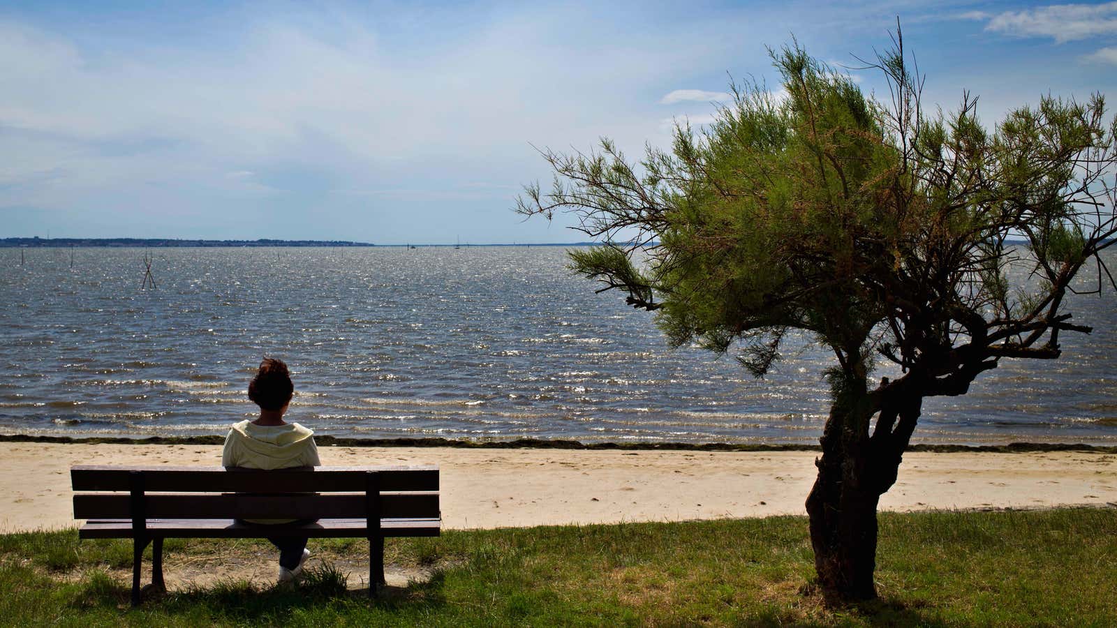 A woman sits on a bench at a beach near the town of Arcachon, France, Wednesday, June 15, 2016.
