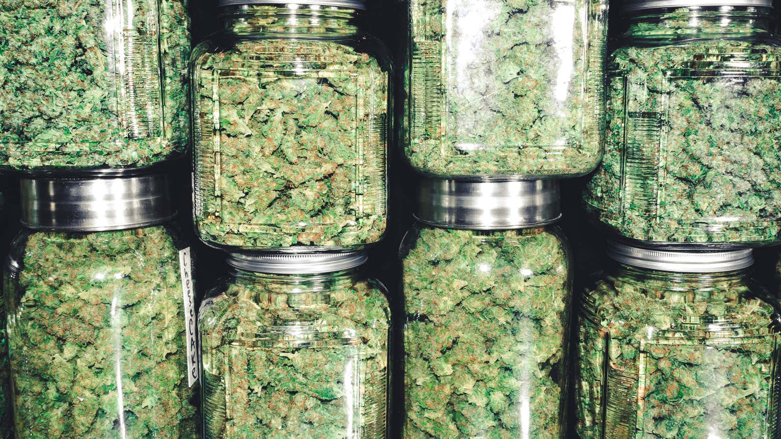 The Ultimate Guide to Choosing the Type of Weed That's Right for You