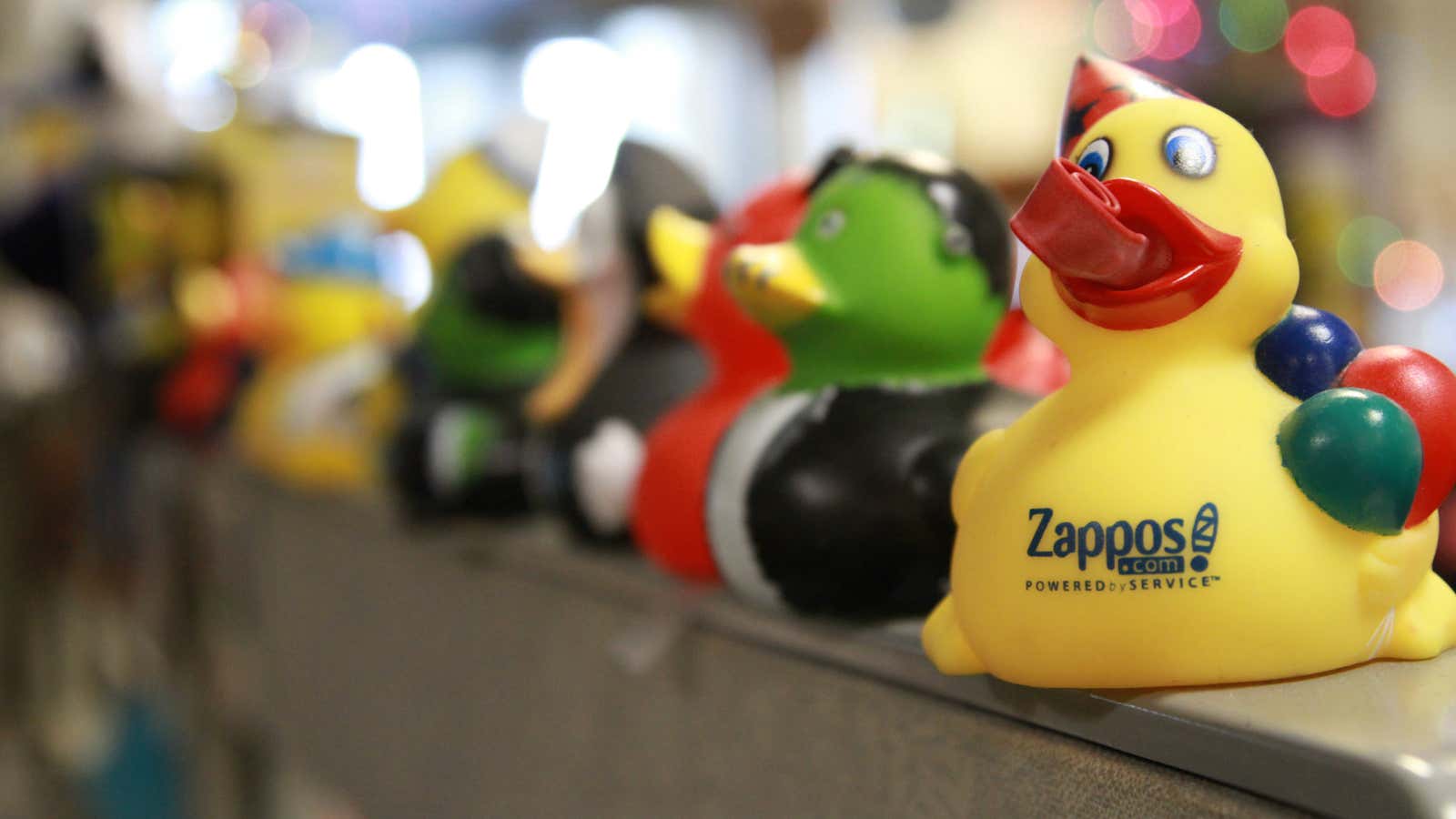Zappos is trying to get its ducks in a row.