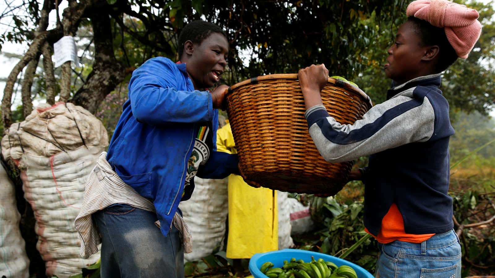 Women should not be pegged to micro schemes