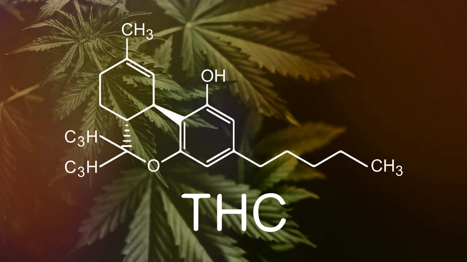 The Science Of Cannabis