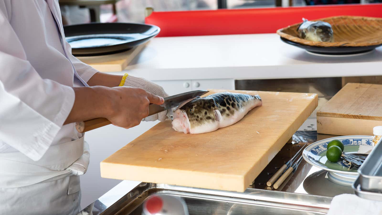 Chef Takeshi Suda slices into the deadly blowfish