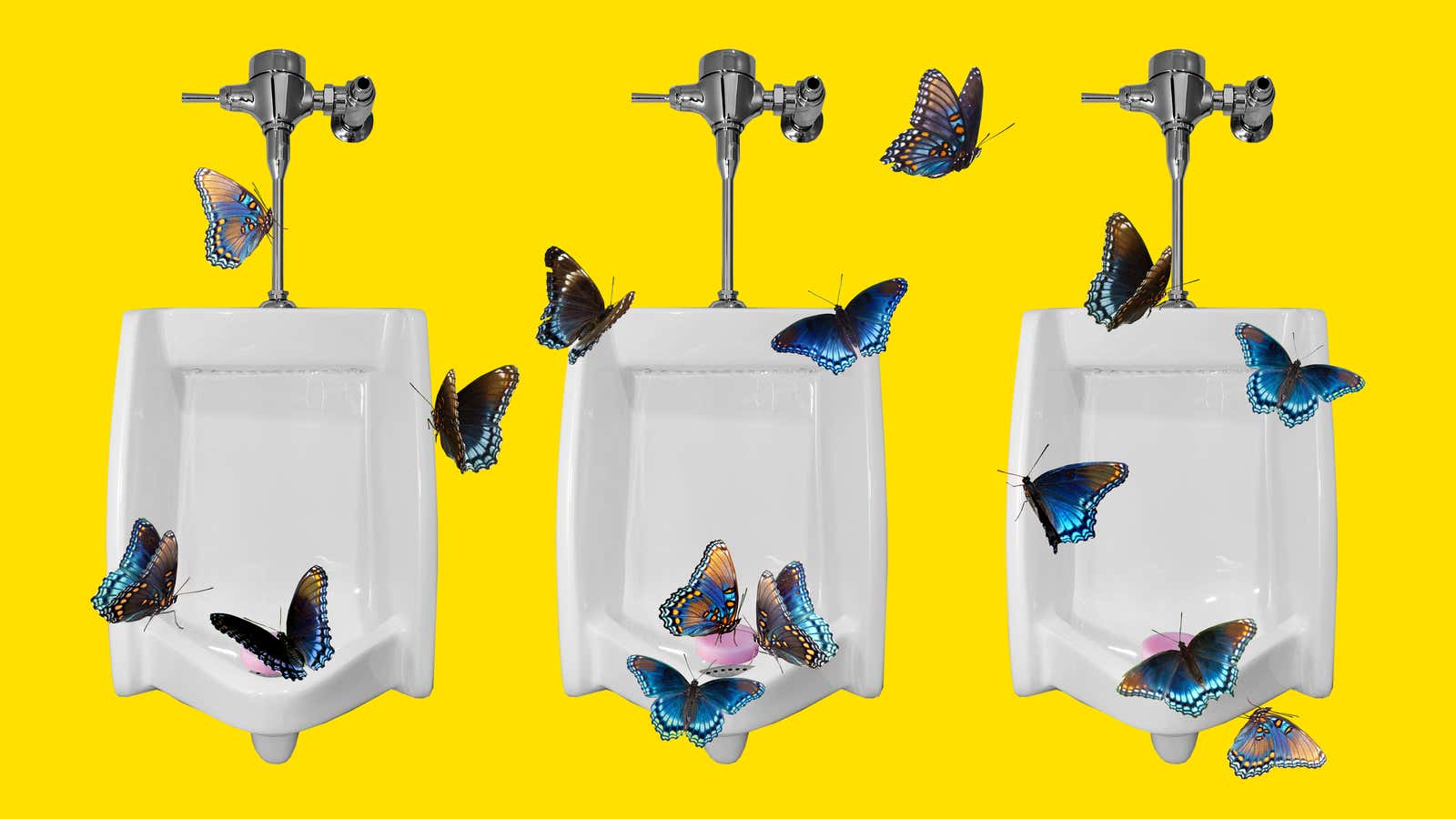 Meet the Animals That Go Wild for Your Pee
