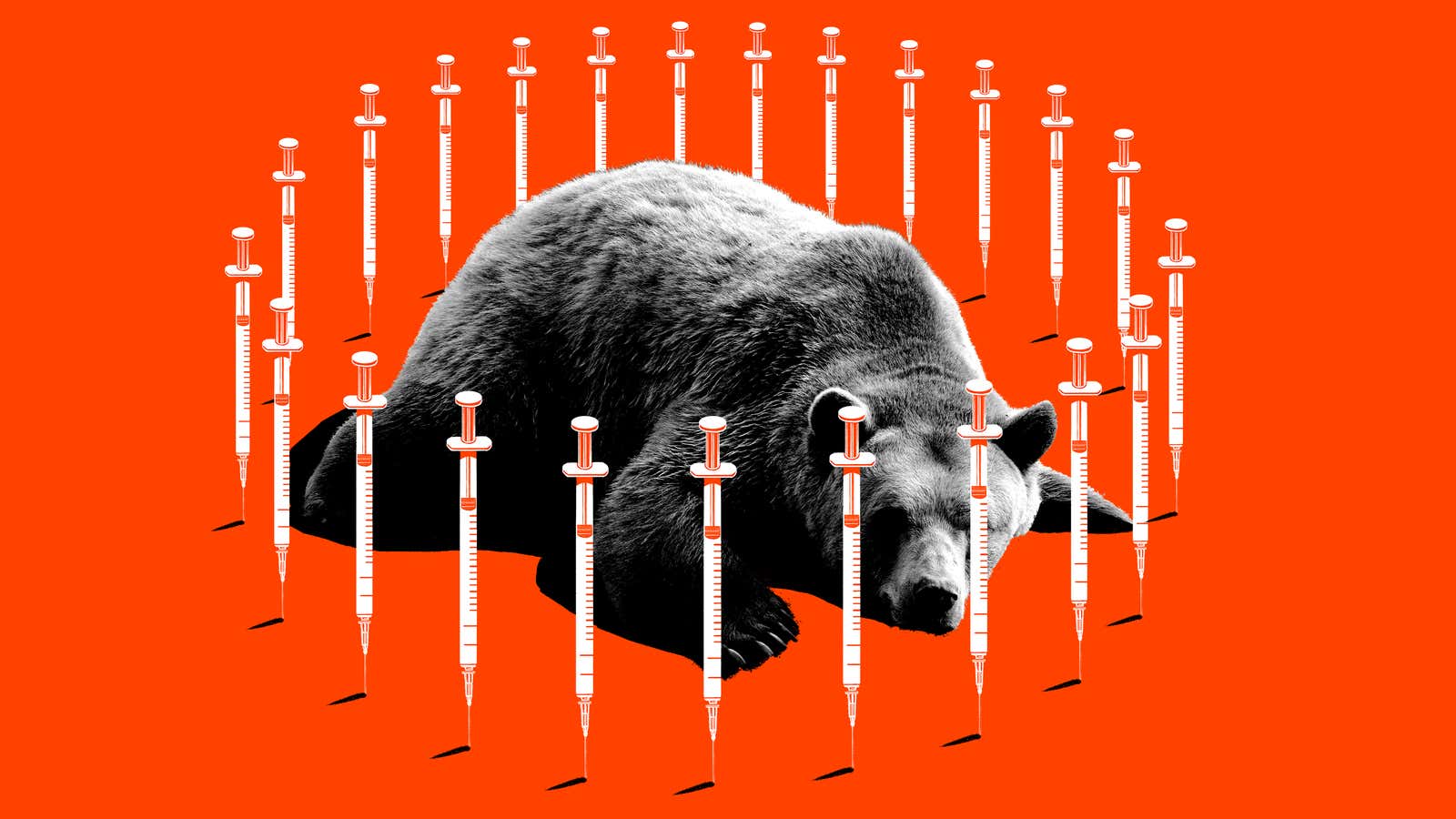 This Was Supposed to Be a Story About a Bizarre Anti-Vaccine Rally and a Sedated Bear. Then It Got Weird.