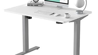 FLEXISPOT EC1 Electric Standing Desk 48 x 30 Inches Adjustable...