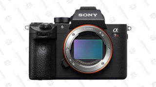 Sony Alpha a7 III Mirrorless Camera