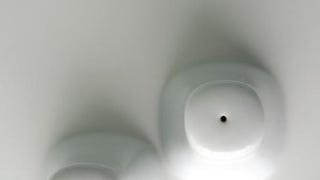 Living with Complexity (MIT Press)