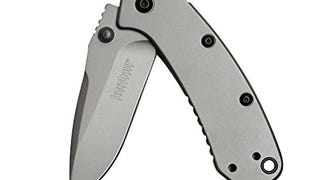 Kershaw Cryo Knife, 2.75" Stainless Steel Drop Point Blade,...