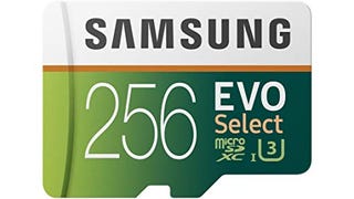 SAMSUNG (MB-ME256GA/AM) 256GB 100MB/s (U3) MicroSDXC EVO...