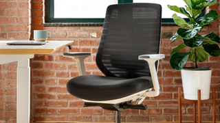 Ergonomic Chair